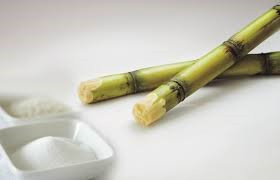 Ấn Độ: Ngành đường đề xuất tăng tỷ lệ pha trộn ethanol trước rủi ro nguồn cung dầu mỏ