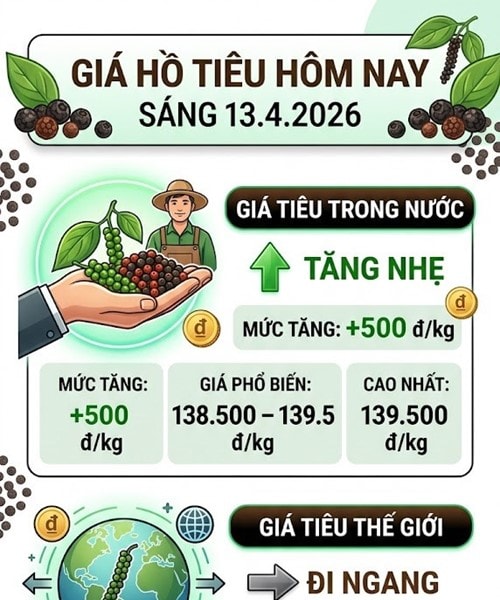Giá hồ tiêu chạm mốc 139.500 đồng/kg, xuất khẩu tăng 100 USD mỗi tấn