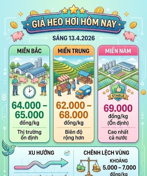 Giá heo hơi hôm nay 13/04: Khu vực miền Nam neo ở mức 69.000 đồng/kg
