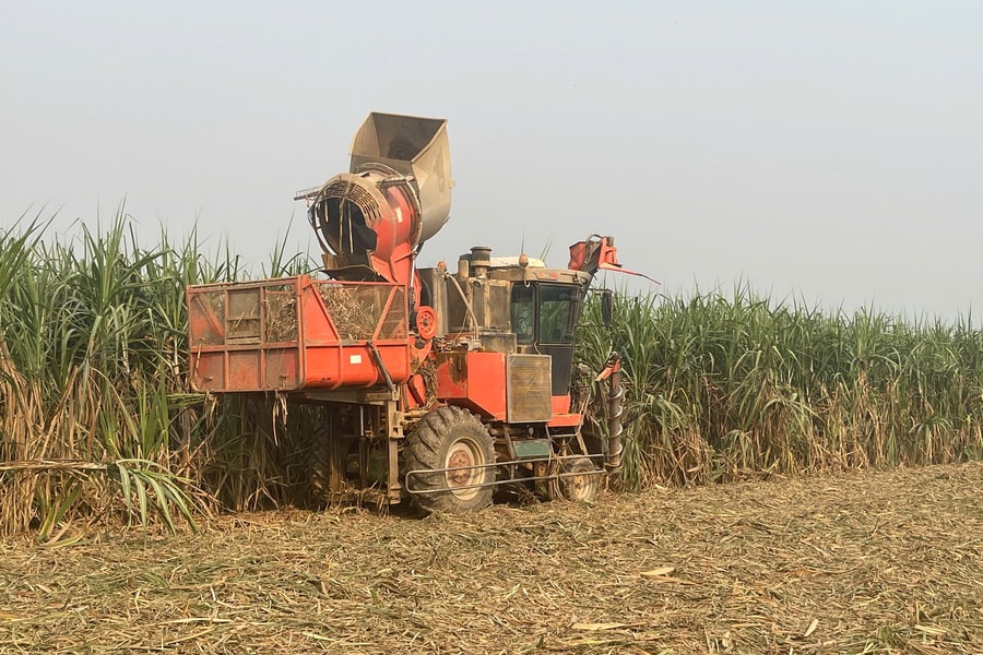 Công ty CP Mía đường Sông Con: Khắc phục khó khăn đảm bảo vụ ép thành công
