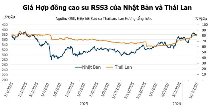 Giá cao su ngày 17/4/2026: Thị trường thế giới tăng mạnh nhờ lực đẩy từ Trung Quốc