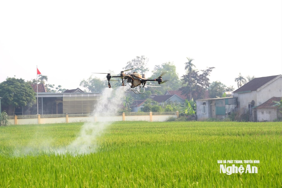 Nghệ An tăng cường công tác chỉ đạo sản xuất vụ Hè Thu - Mùa năm 2026