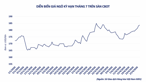 Giá đường và ngô tăng mạnh do áp lực từ thị trường năng lượng, MXV-Index lập chuỗi tăng 9 phiên