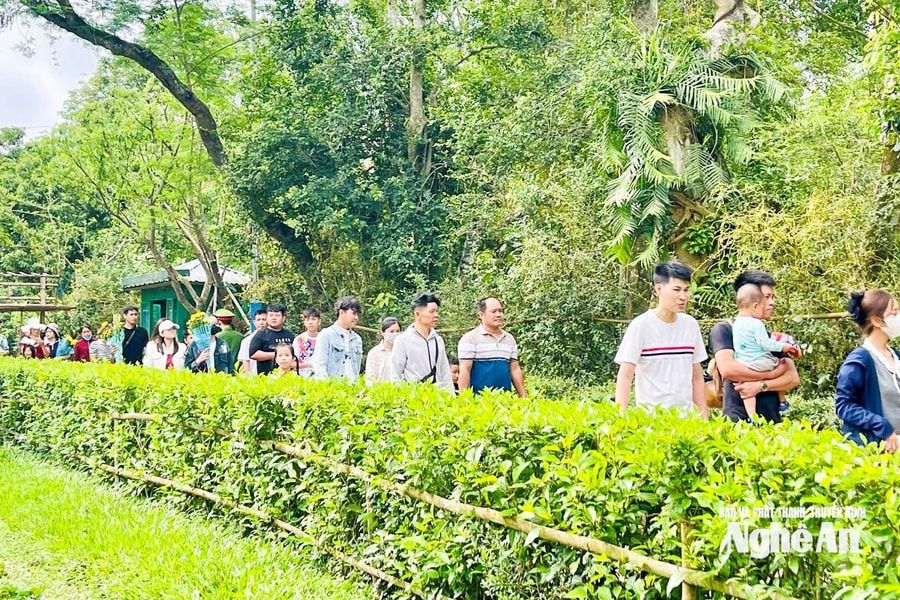 Nghệ An đón khoảng 1,21 triệu lượt khách dịp nghỉ lễ