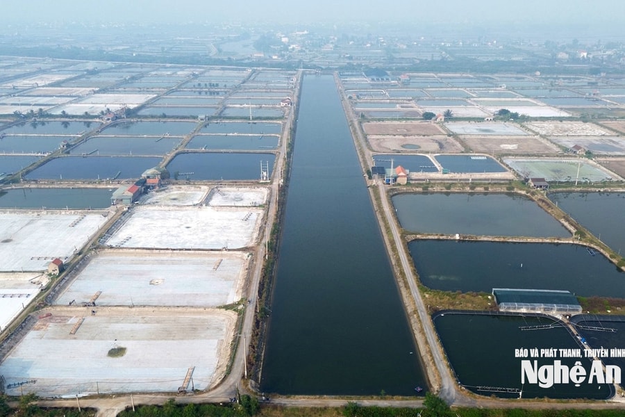 Thiếu kinh phí vận hành hệ thống cấp nước biển, vùng nuôi tôm Quỳnh Anh gặp khó
