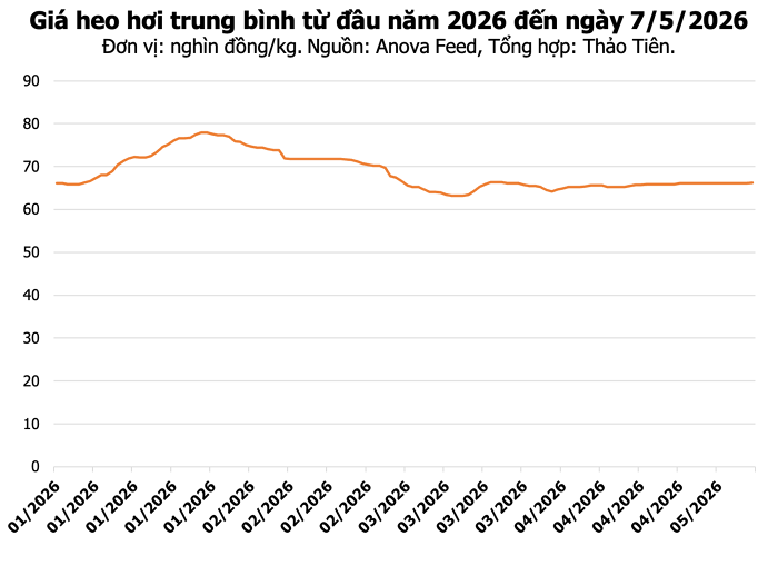 Giá heo hơi ngày 7/5: Miền Bắc tăng nhẹ, Đồng Nai giữ mốc cao nhất 70.000 đồng/kg