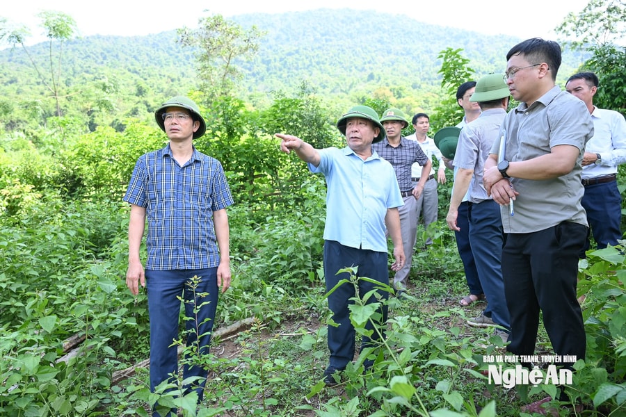 Lãnh đạo tỉnh kiểm tra công tác khắc phục hậu quả thiên tai ở 2 xã Chiêu Lưu và Lượng Minh