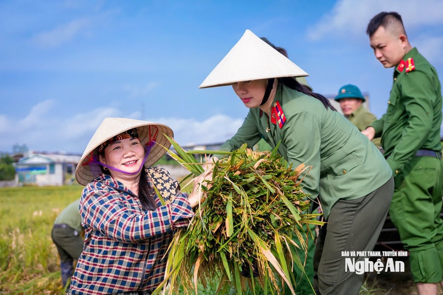Công an xã giúp dân gặt lúa, tuyên truyền đảm bảo an toàn giao thông mùa thu hoạch