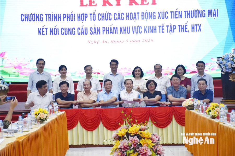 Xúc tiến thương mại, phát triển thị trường khu vực kinh tế tập thể, hợp tác xã