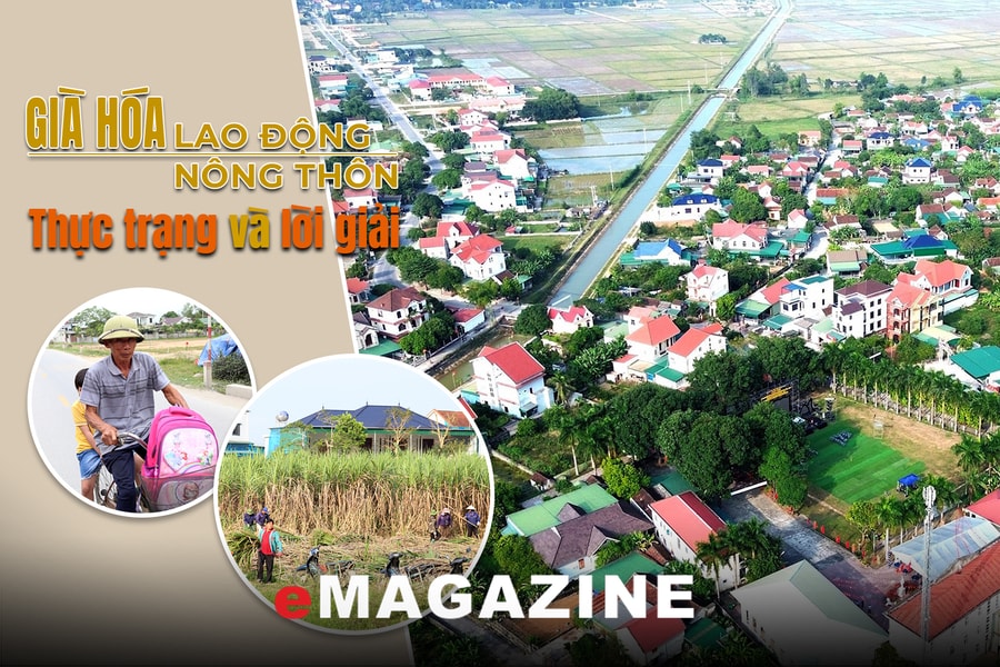 Già hóa lao động nông thôn - Kỳ 2: Người trẻ bỏ ruộng, rời làng