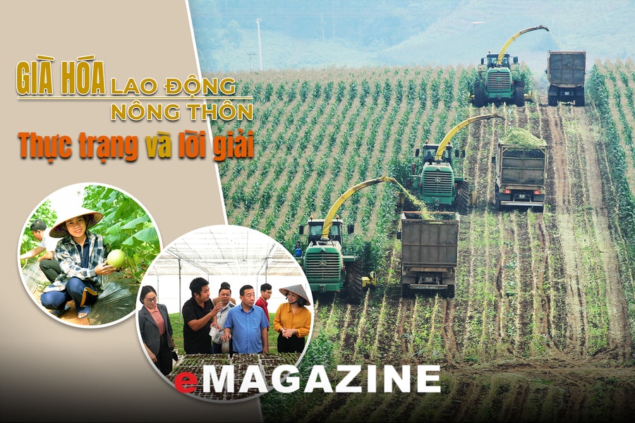 Già hóa lao động nông thôn - Kỳ cuối: Nông nghiệp hiện đại và lời giải giữ lao động trẻ