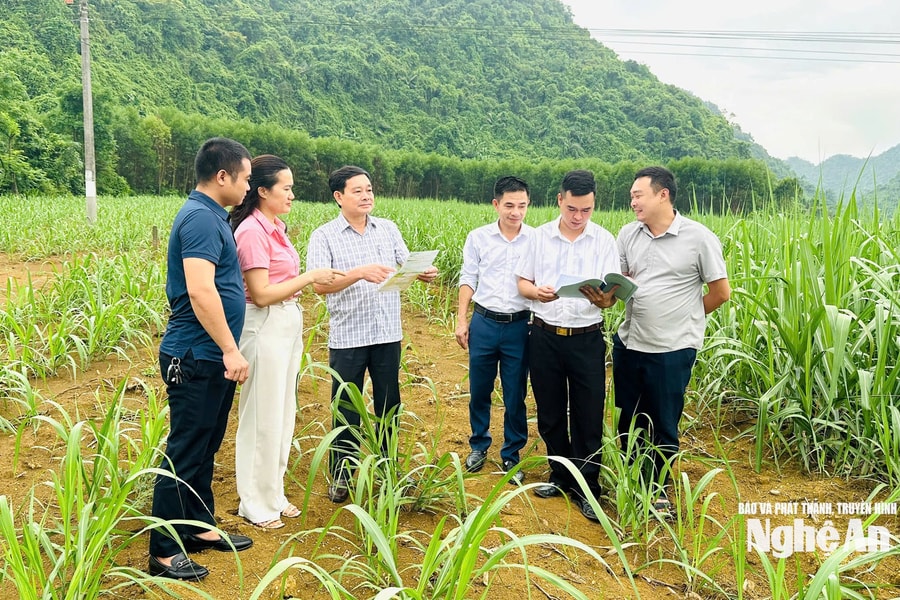 Bám sát thực tiễn, kiến tạo những vấn đề nhân dân cần