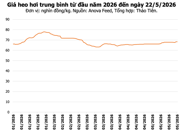 Giá heo hơi hôm nay 22/5: Cao Bằng tăng nhẹ, thị trường giữ mốc 70.000 đồng/kg