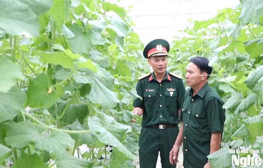 Góp gần 3 tỷ đồng vốn quay vòng, cựu chiến binh xã Đông Lộc giúp nhau làm giàu