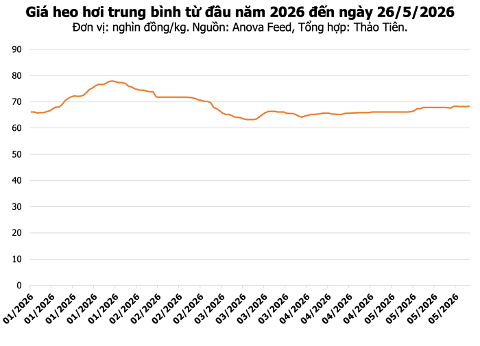 Giá heo hơi hôm nay 26/5: Bắc Ninh và Khánh Hòa tăng nhẹ, cao nhất 70.000 đồng/kg