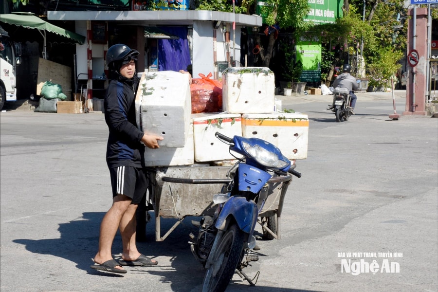 Cửu vạn Bến xe Chợ Vinh mưu sinh trong nắng nóng gay gắt