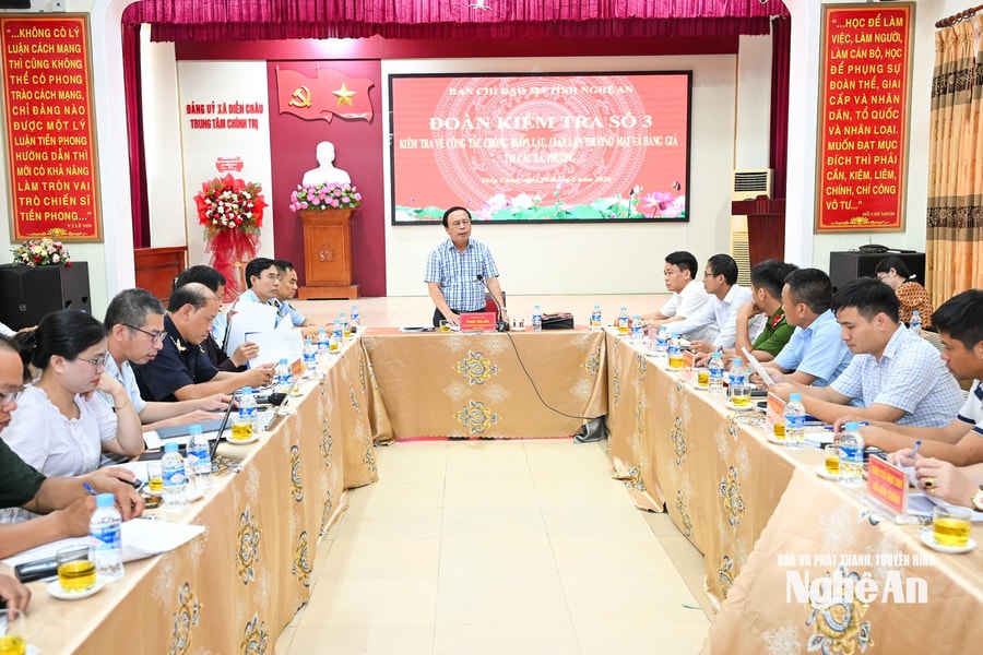 Ban Chỉ đạo 389 làm việc với các xã khu vực Diễn Châu