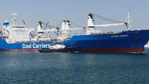 Gián đoạn vận tải container lạnh gây áp lực lên xuất khẩu nho và quả mọng toàn cầu