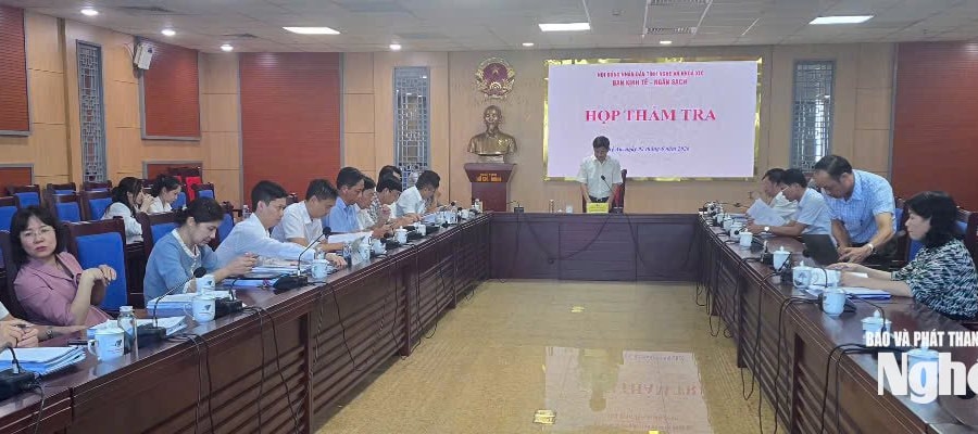 Ban Kinh tế - Ngân sách thẩm tra các nội dung trình Kỳ họp thứ 2, Hội đồng Nhân dân tỉnh khóa XIX