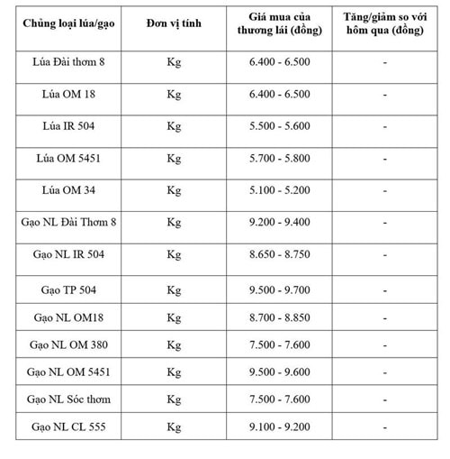 Giá lúa gạo ngày 3/6/2026: Thị trường nội địa ổn định, gạo xuất khẩu giảm mạnh