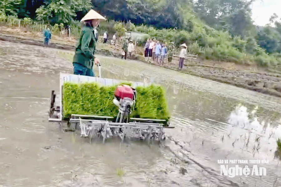 Đưa máy cấy lên bản biên giới Nghệ An