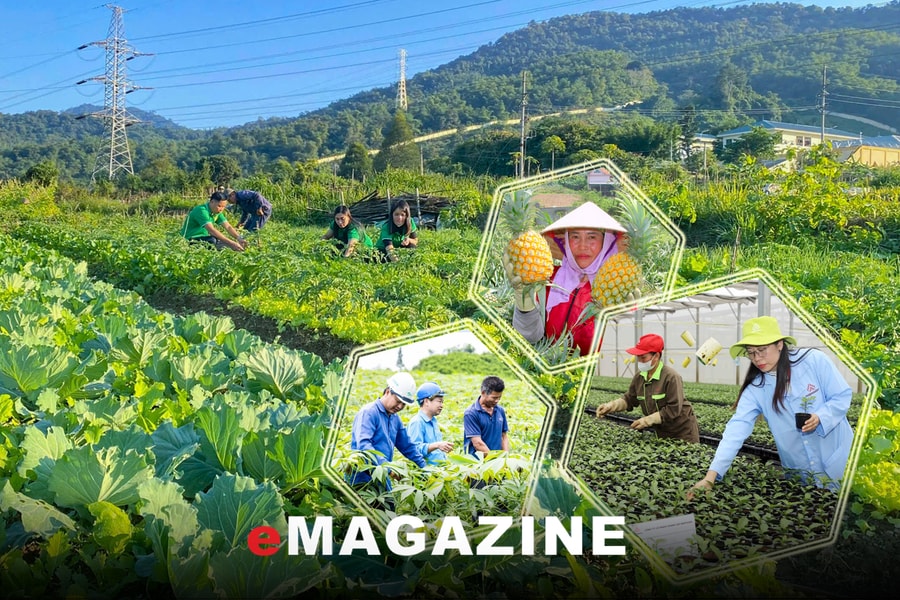 Khi văn hóa tạo nên giá trị nông sản