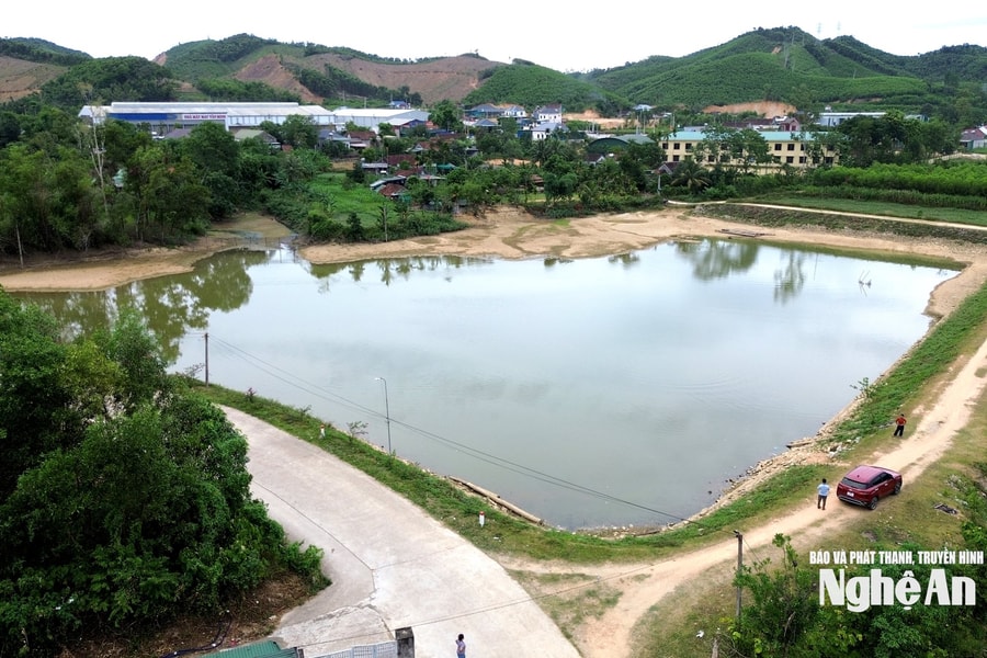 Cá chết bất thường ở đập Ba Tru, xã Tân Kỳ