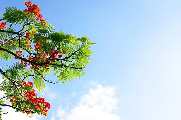 Dự báo thời tiết từ 18/06/2026 đến 28/06/2026: Bắc Bộ mưa lớn, Trung Bộ nắng nóng gay gắt