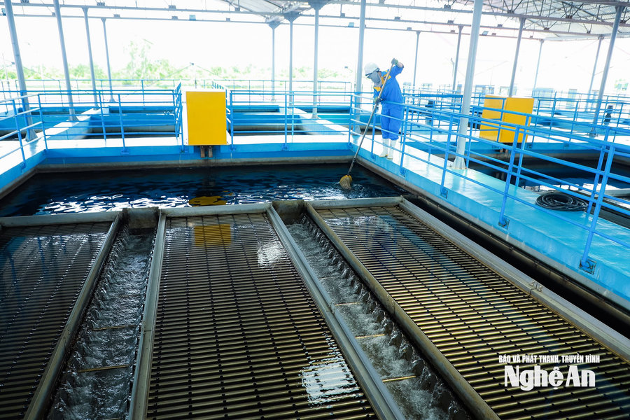 Nghệ An ban hành Quy định mới về quản lý sản xuất, cung cấp và tiêu thụ nước sạch