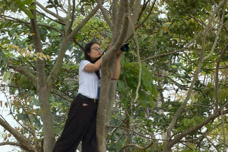 Những "nhà báo không thẻ"