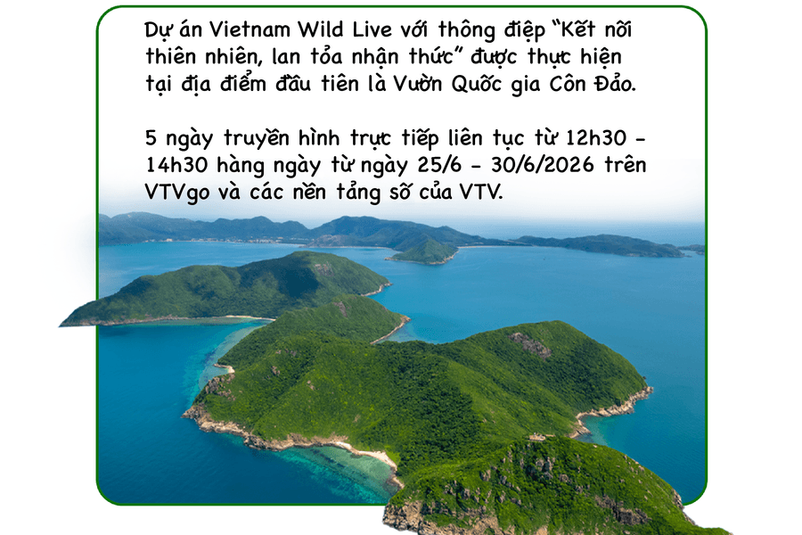 Vietnam Wild Live: Cuộc cách mạng truyền hình trực tiếp thiên nhiên tại Côn Đảo