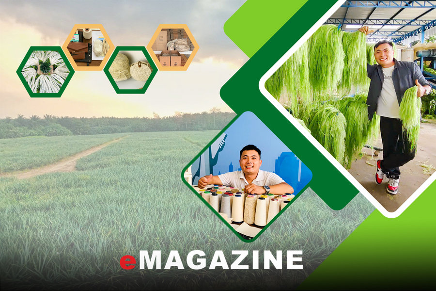 Kỹ sư "gàn dở" biến thứ lá bỏ đi thành hàng xuất khẩu
