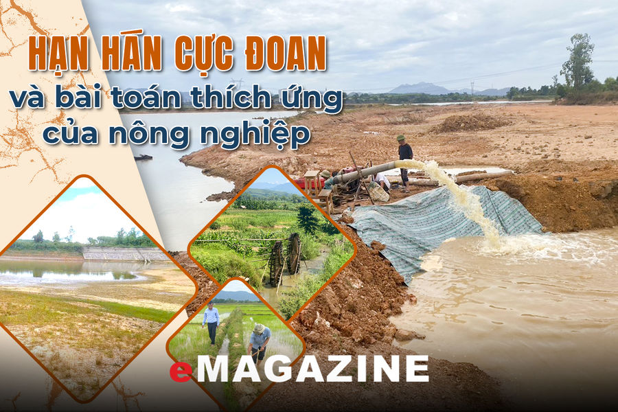 Kỳ 2: “Cuộc chiến” giữ nước tưới