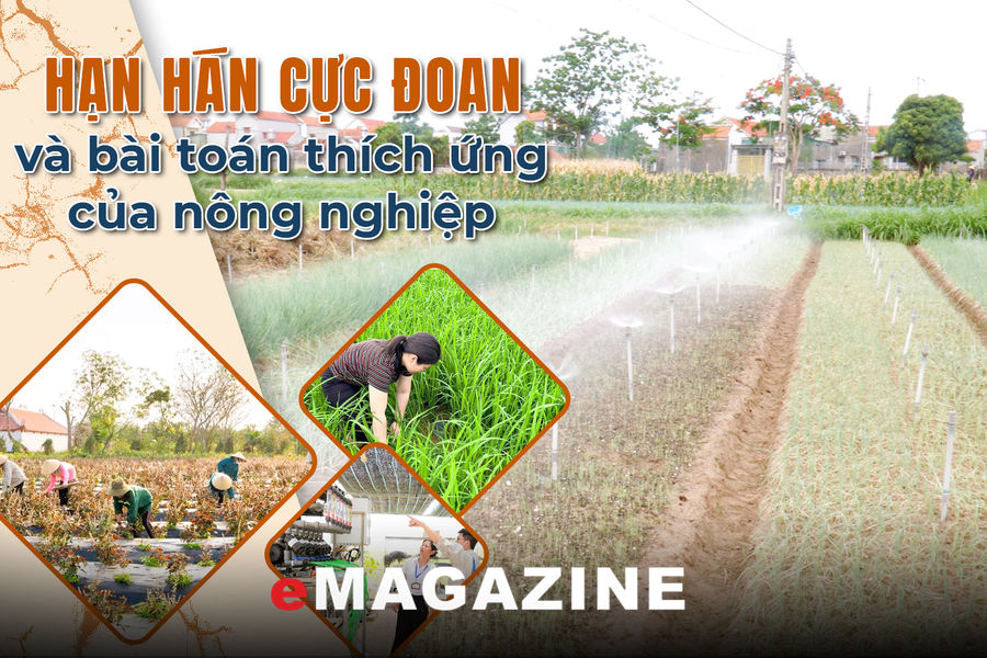 Kỳ 3: Những mô hình thích ứng với hạn hán