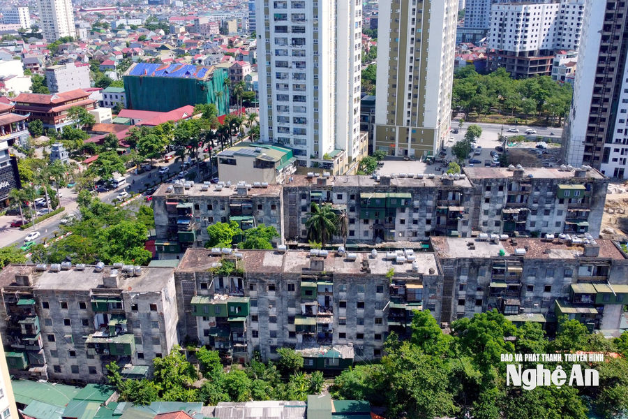 Chủ động di dời cư dân chung cư Quang Trung trước mùa mưa bão