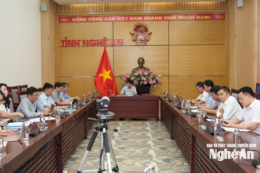 Triển khai Nghị quyết của Chính phủ về chính sách đặc thù xử lý tài sản công dôi dư