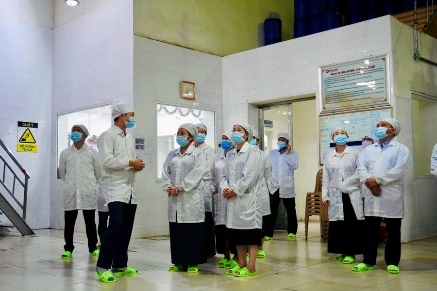 Kết nối doanh nghiệp, thúc đẩy phát triển ngành dược liệu theo chuỗi giá trị