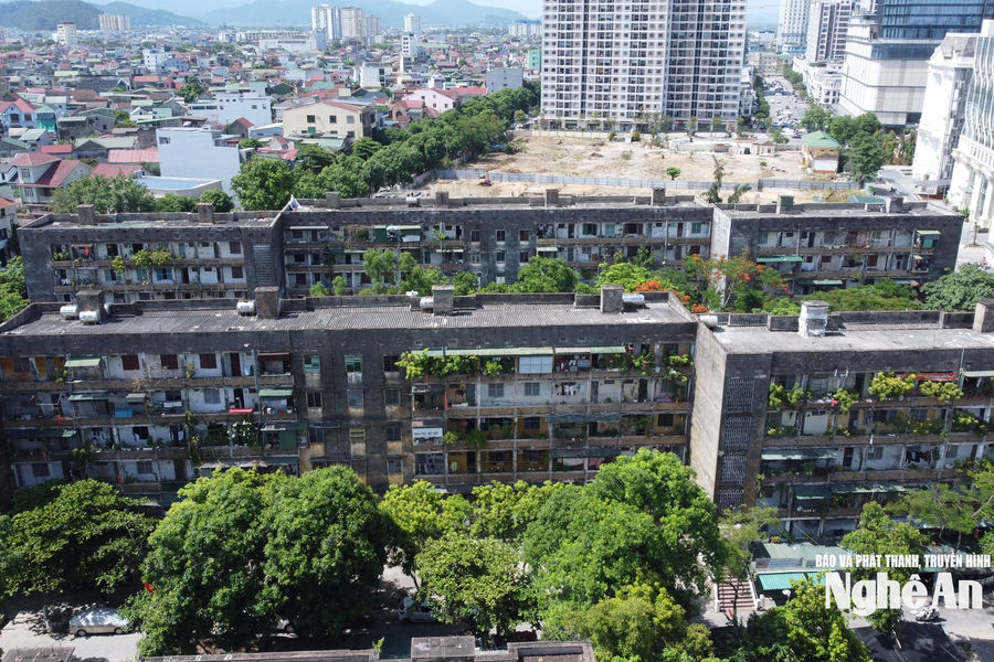 Phấn đấu hoàn thành di dời toàn bộ cư dân chung cư C5, C6 Quang Trung trước ngày 19/7