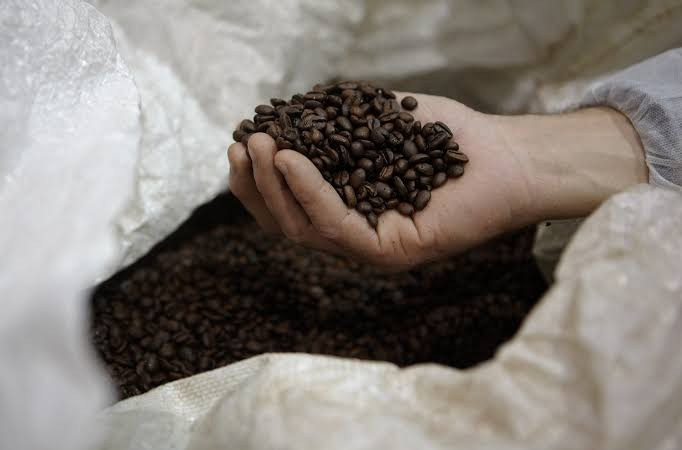 Giá cà phê hôm nay 8/7/2026 tăng sốc, Đắk Nông cũ lên 97.000 đồng/kg