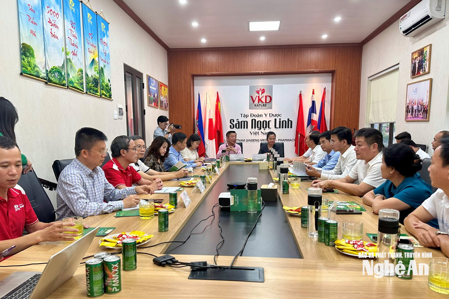 Nghệ An thúc đẩy hợp tác phát triển dược liệu với Tập đoàn Y dược Sâm Ngọc Linh Việt Nam
