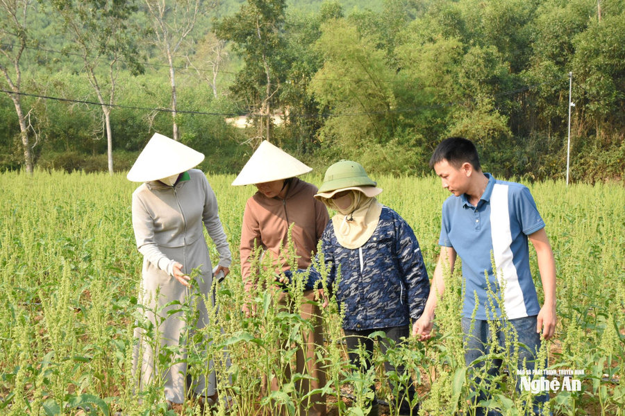 Linh hoạt kiện toàn hội nông dân sau sáp nhập thôn, xóm, bản