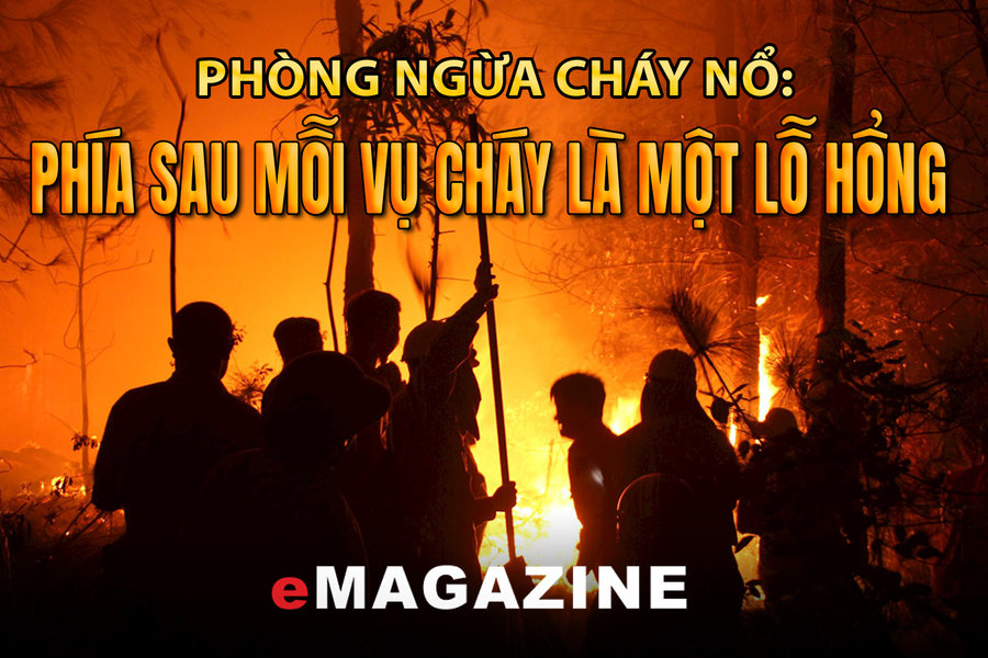 Phòng ngừa cháy, nổ: Phía sau mỗi vụ cháy là một lỗ hổng