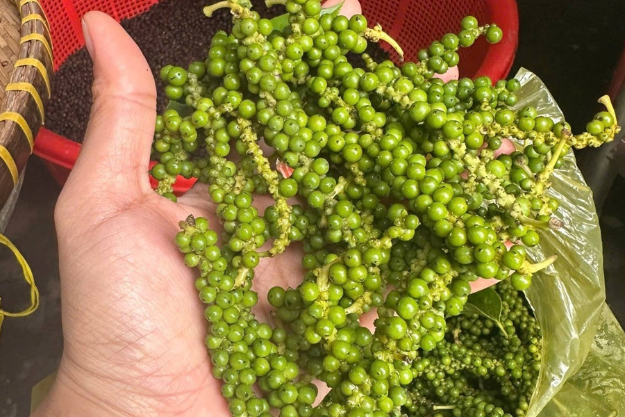 Giá tiêu hôm nay 17/7/2026: Sáu vùng cùng tăng, giá cao nhất đạt 141.000 đồng/kg