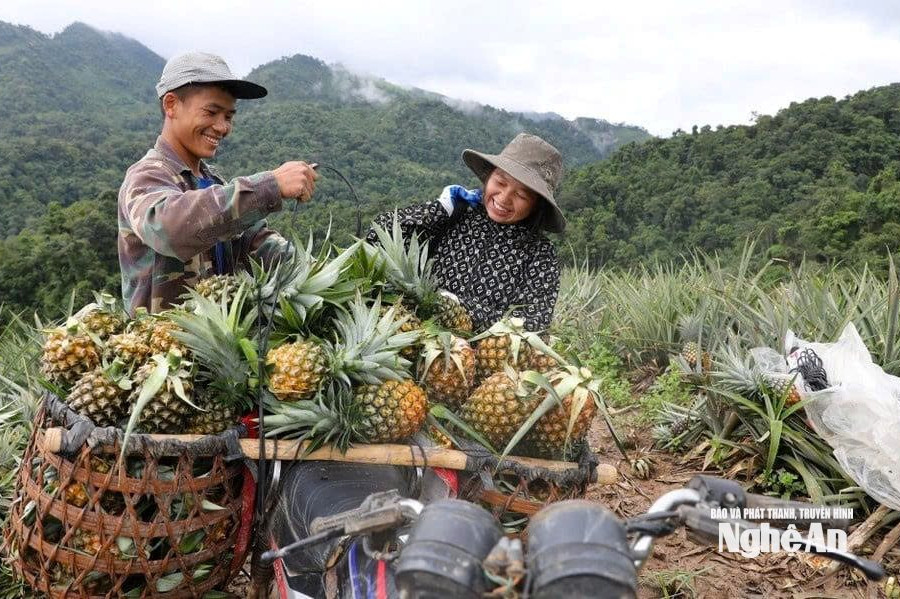 "Đòn bẩy" từ nguồn vốn tín dụng chính sách ở Quỳnh Lưu