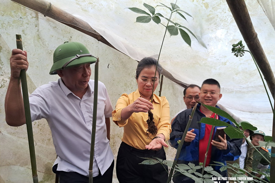 Đồng chí Võ Thị Minh Sinh kiểm tra tình hình phát triển dược liệu dưới tán rừng và kiểm tra công trình trường liên cấp tại xã Na Ngoi