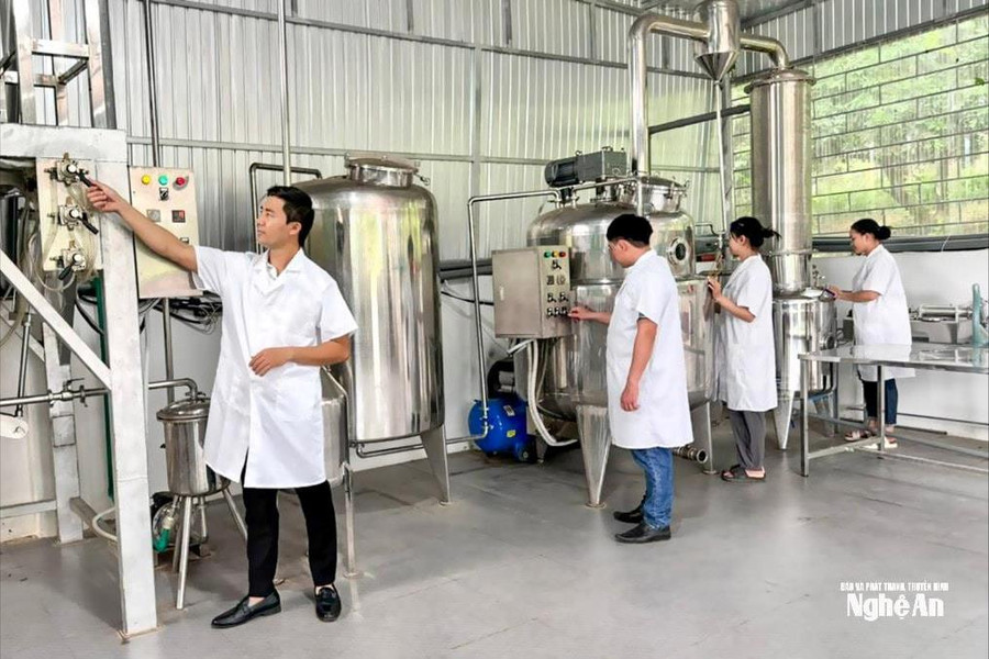 Nghệ An triển khai Kế hoạch bình chọn sản phẩm công nghiệp nông thôn tiêu biểu năm 2026
