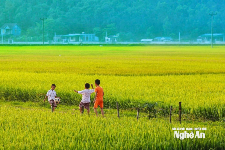 Thời tiết Nghệ An ngày 26/7: Ngày nắng, nhiệt độ cao nhất 36 độ C; đêm có mưa rào vài nơi