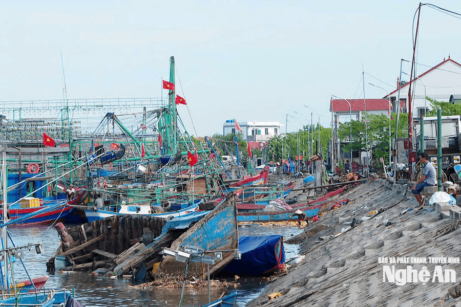 An toàn neo đậu tàu thuyền mùa mưa bão