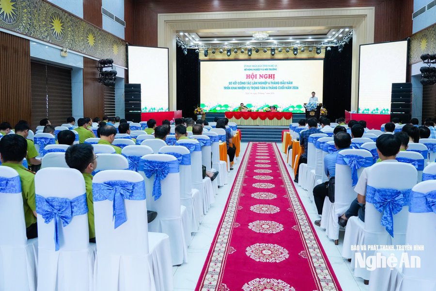 Nâng cao ý thức, trách nhiệm của cả hệ thống chính trị, chủ rừng và người dân trong công tác bảo vệ và phát triển rừng