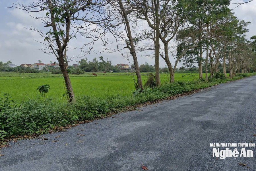 Hơn 10 năm chờ hoàn thiện hạ tầng khu tái định cư